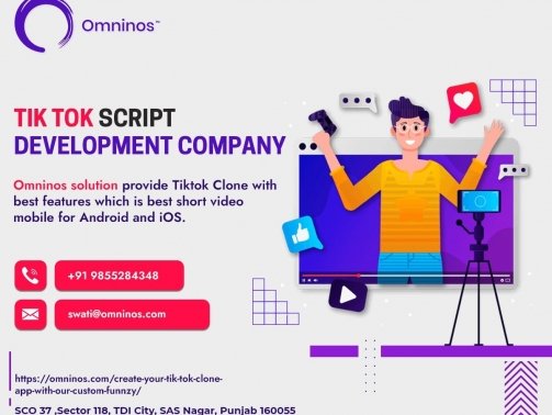 Tik Tok Script Development Company