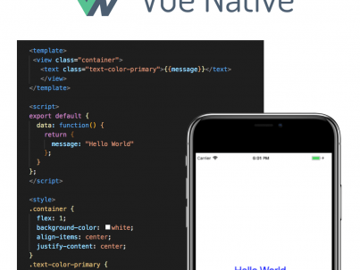 VUE NATIVE
