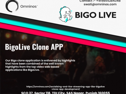 BigoLive Clone APP