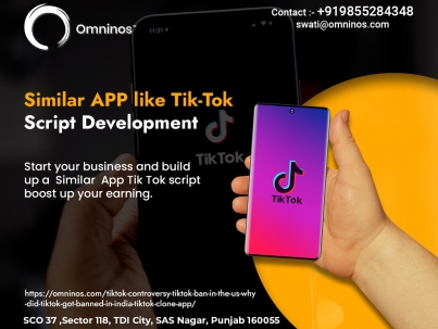 Tik Tok Clone APP Script