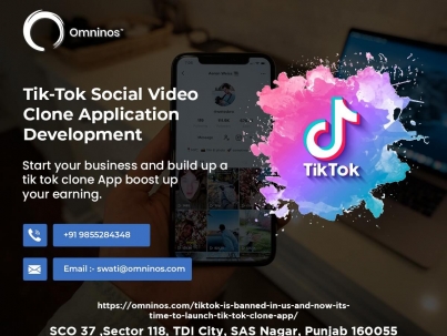 Tik Tok Clone APP