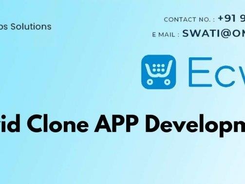 Ecwid Clone APP Development Cost