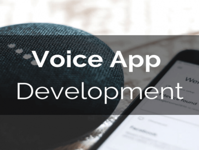 Voice_App-min__1_