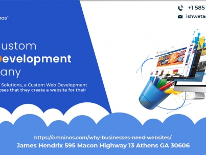 customer web development company